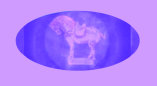071116_mahogany_bella_pancho_villa_guns_qing_vase001020.jpg