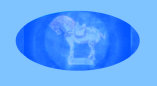 071116_mahogany_bella_pancho_villa_guns_qing_vase001021.jpg
