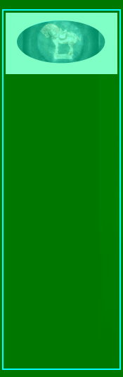 071116_mahogany_bella_pancho_villa_guns_qing_vase001033.gif